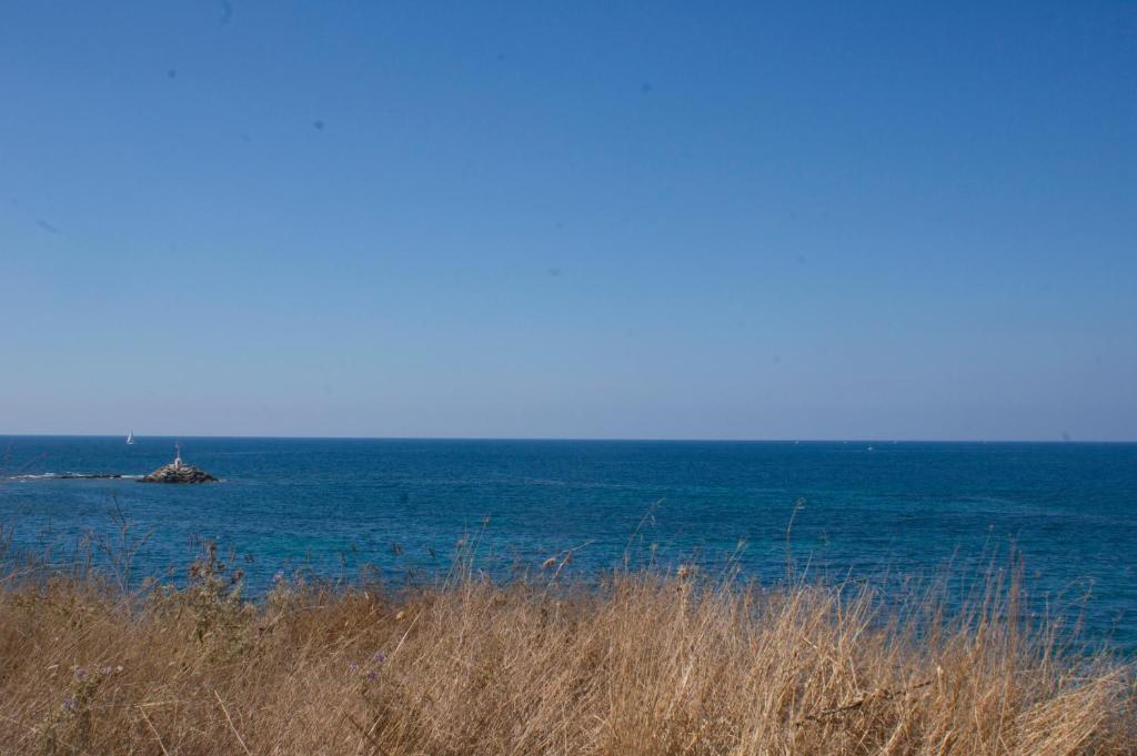 Dionisos Hotel Mytikas  Bagian luar foto